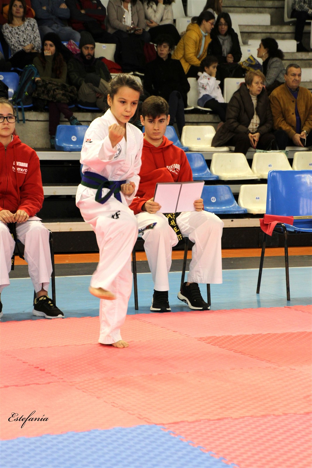 Taekwondo (103).jpg